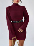 Turtleneck Long Sleeve Sweater Dress Wine Red / S