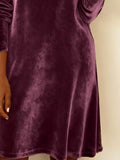 Velvet Cowl Neck Long Sleeve Mini Dress