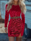 Velvet Floral Mini Dress