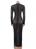 Sheer Mesh Rhinestone Long Sleeve Evening Dress